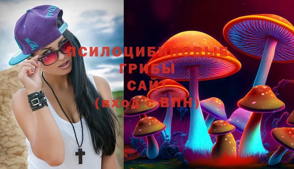 кокс Армянск