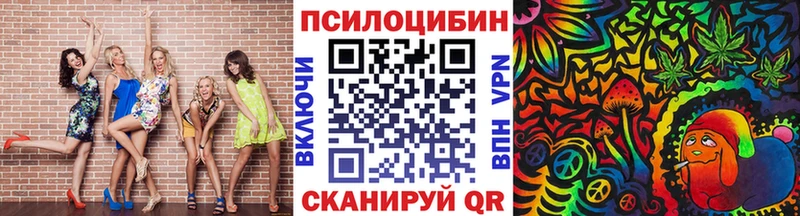 Галлюциногенные грибы Psilocybine cubensis ОМГ ОМГ Камешково где продают наркотики